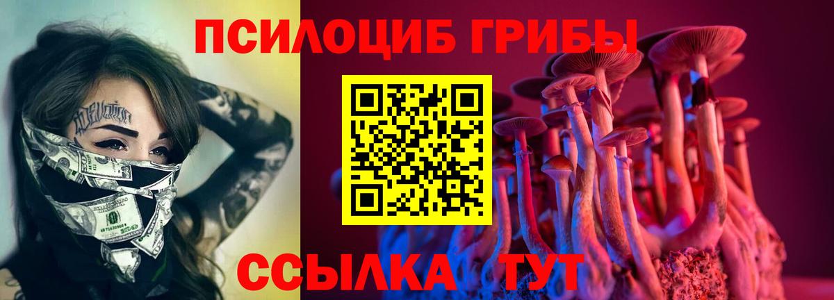 Королёв  Псилоцибиновые грибы ЛСД  закладка  Вход с VPN 